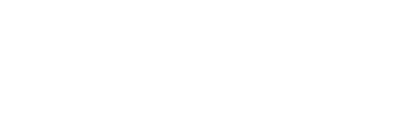 Serkiz logo